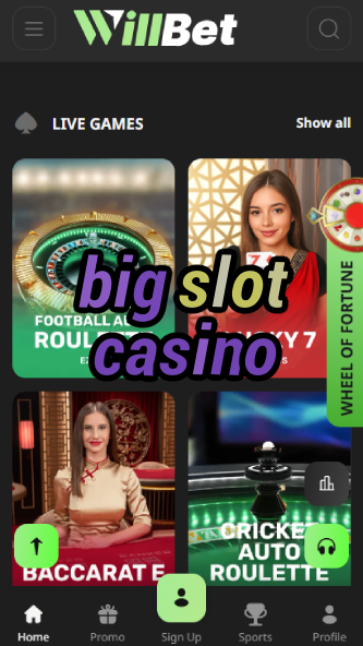 Big Slot Casino - Largest Slot Collection-www.bdqngd.com